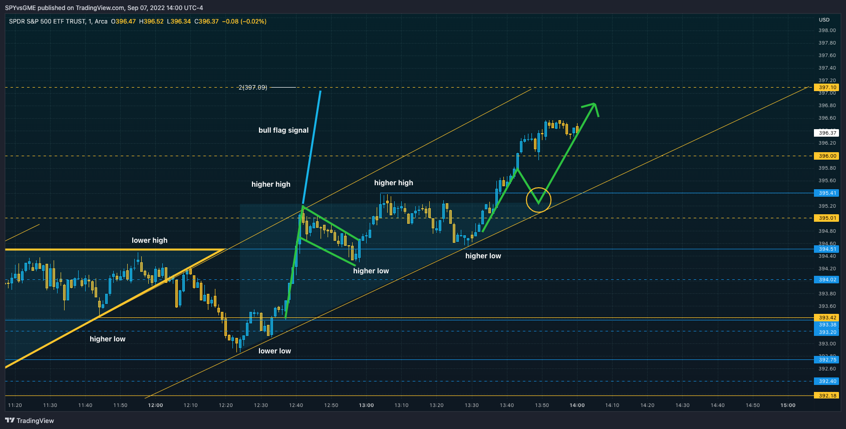 AMEX:SPY Chart Image by SPYvsGME