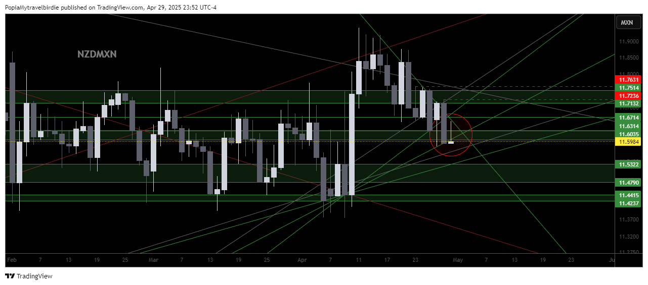 SAXO:NZDMXN Chart Image by PopiaMytravelbirdie