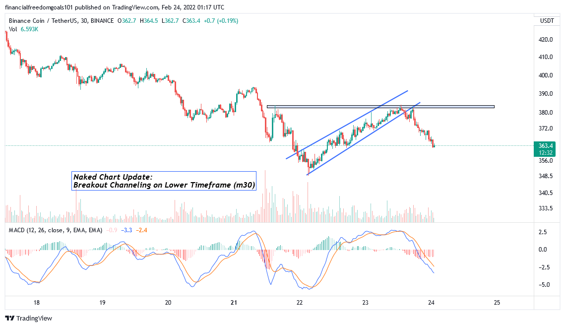 BINANCE:BNBUSDT Chart Image by financialfreedomgoals101