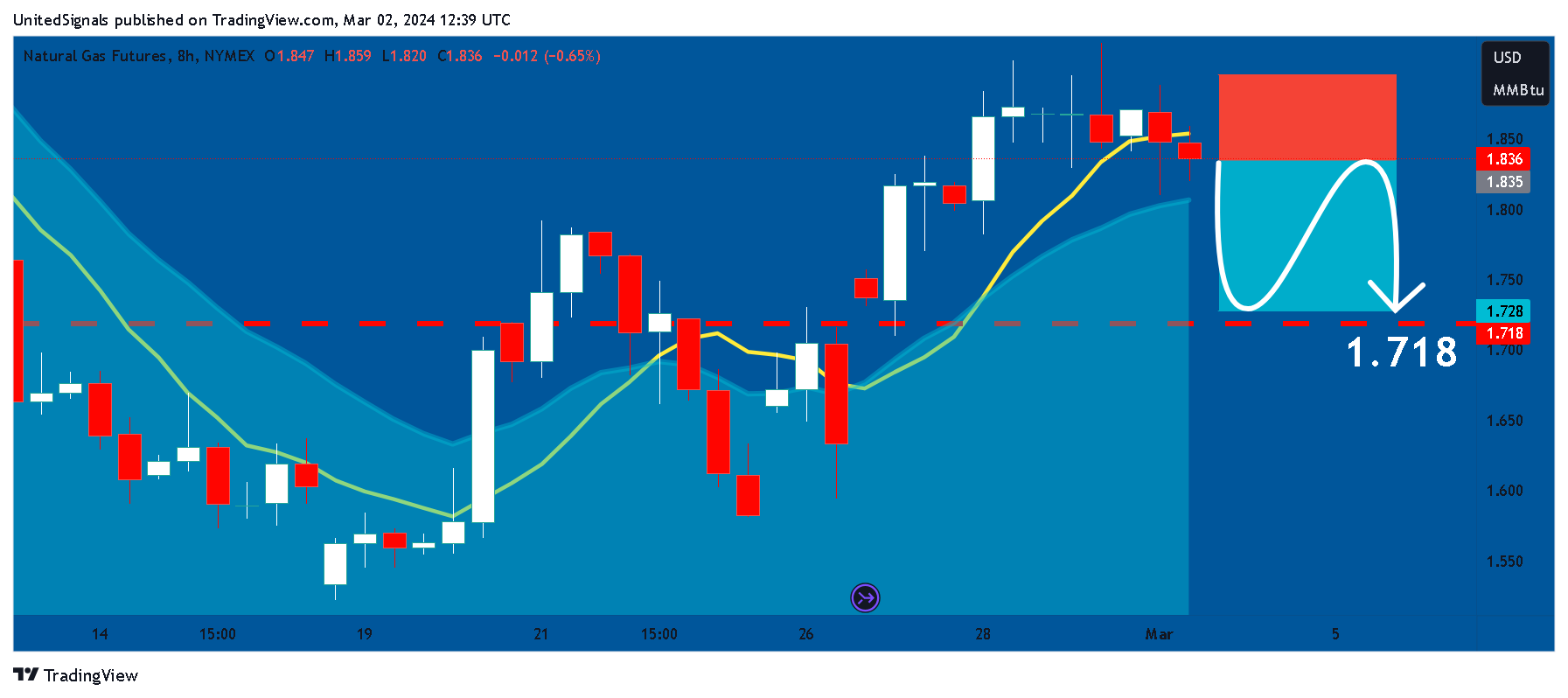NYMEX_DL:NG1! Chart Image by UnitedSignals
