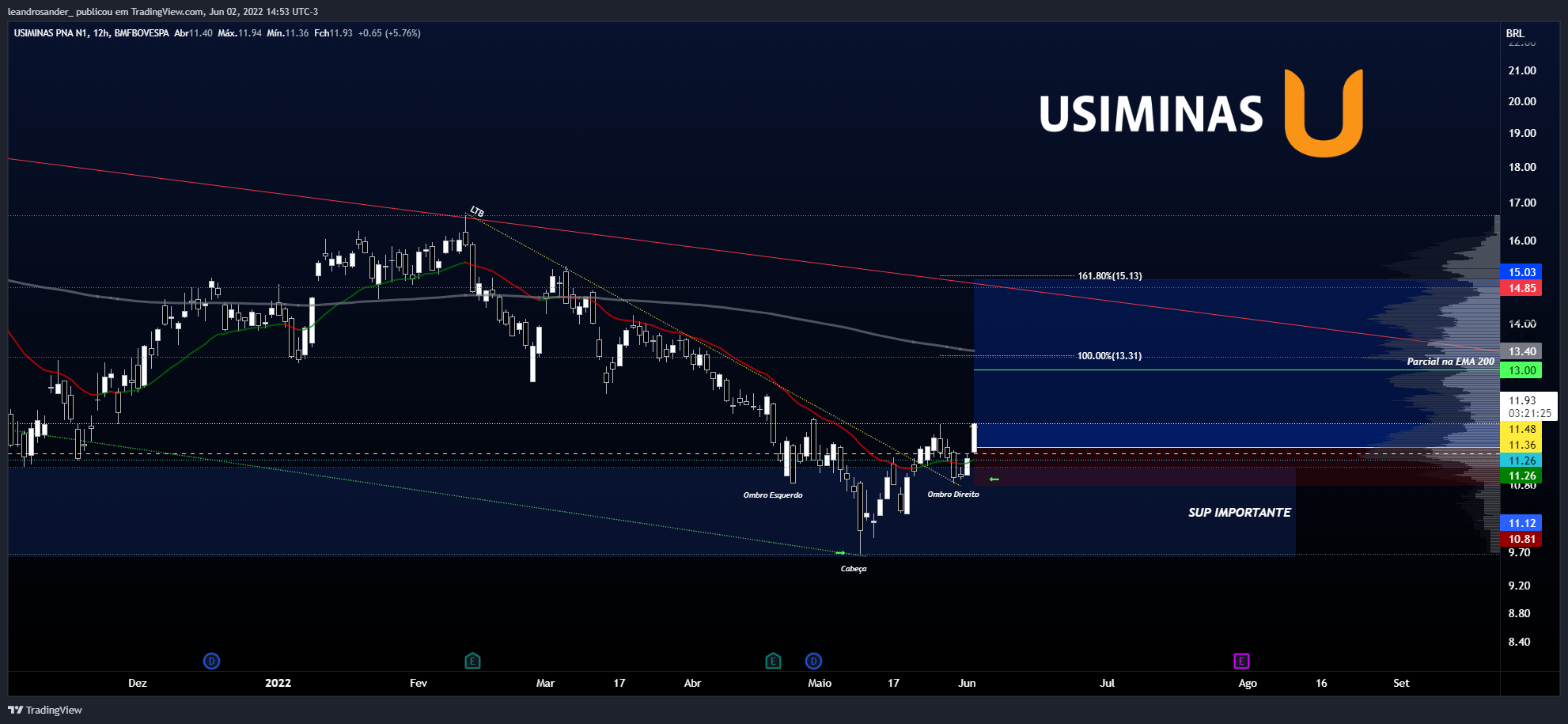 BMFBOVESPA:USIM5 Chart Image by leandrosander_