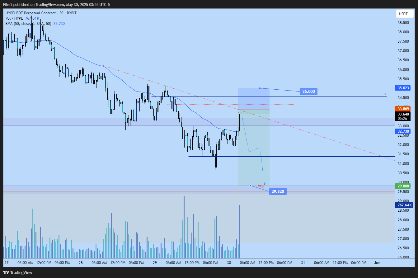 BYBIT:HYPEUSDT.P Chart Image by Filnft
