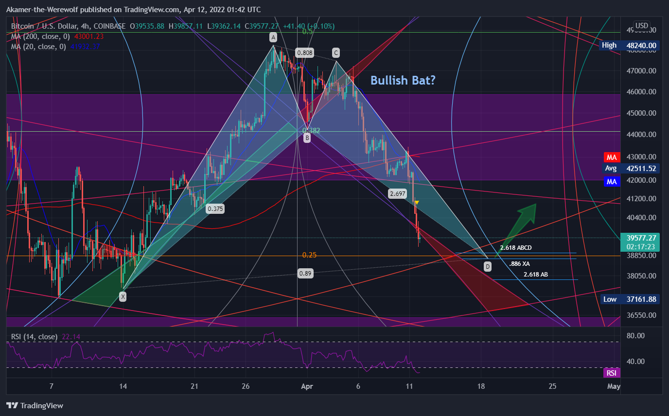 COINBASE:BTCUSD Chart Image by Akamer-the-Werewolf
