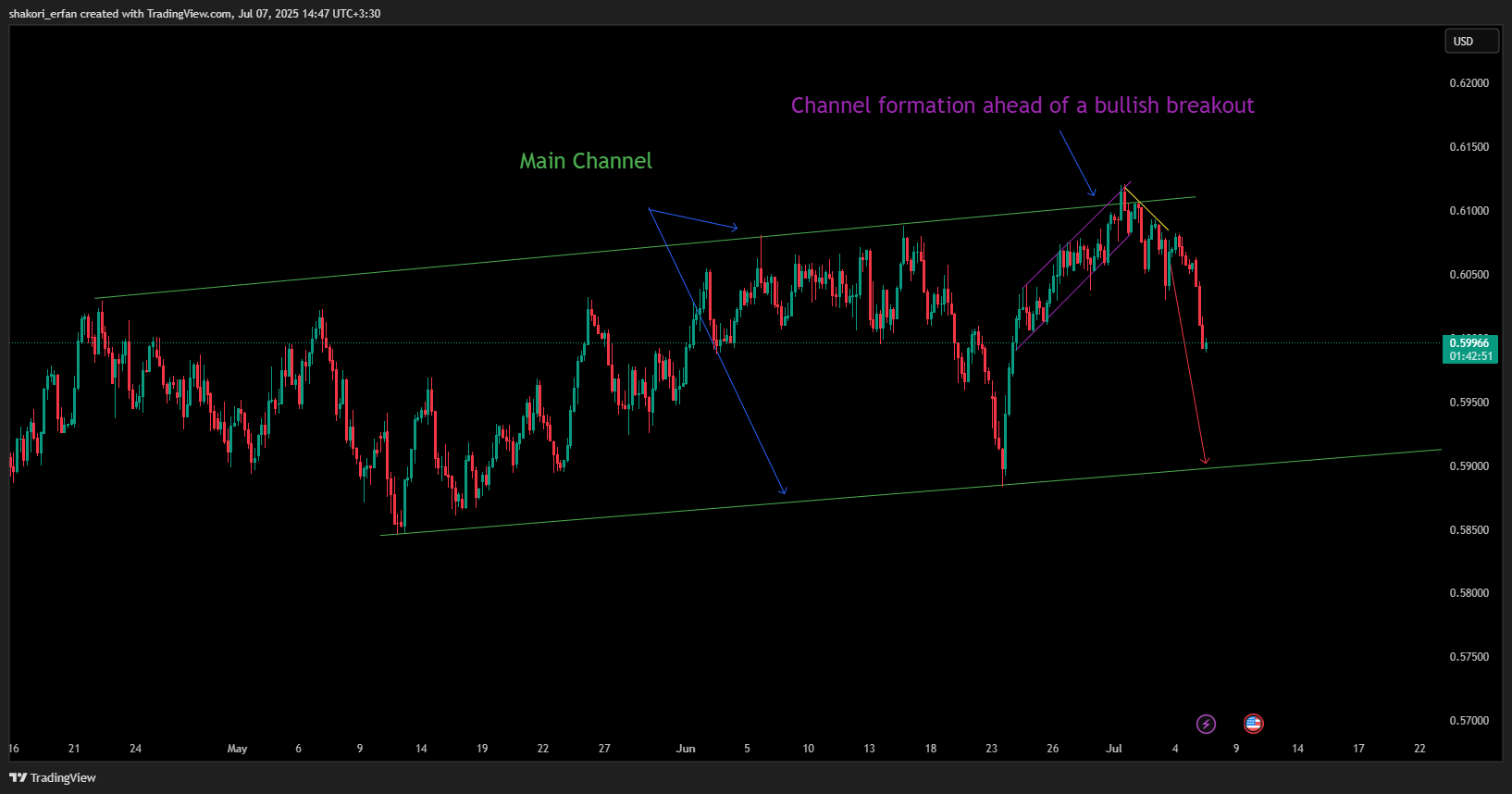 OANDA:NZDUSD Chart Image by shakori_erfan