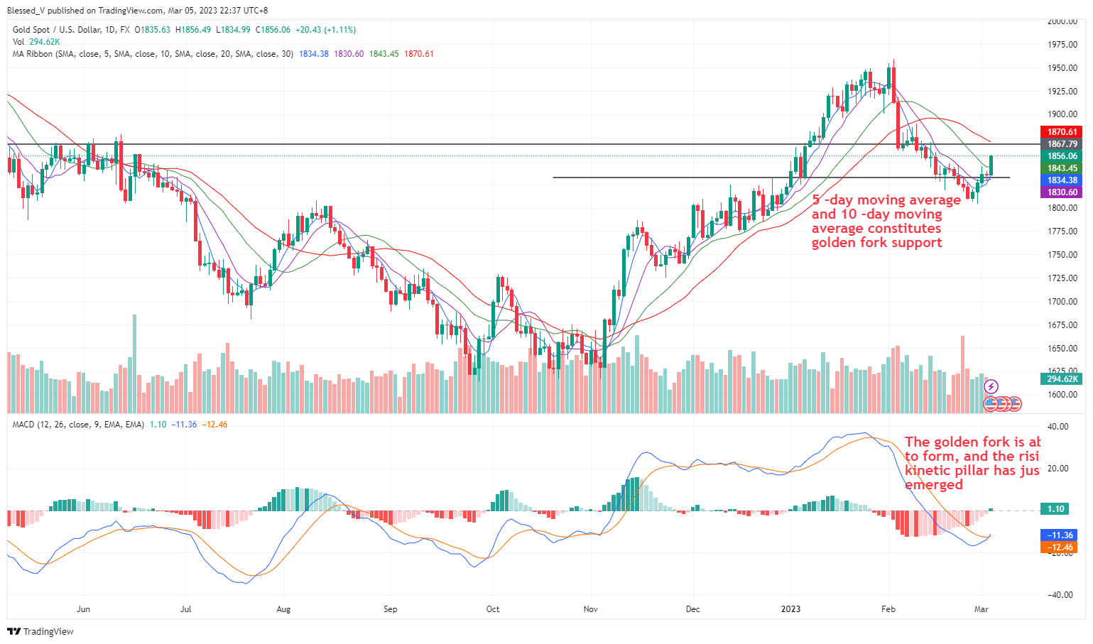 FX:XAUUSD Chart Image by Blessed_V