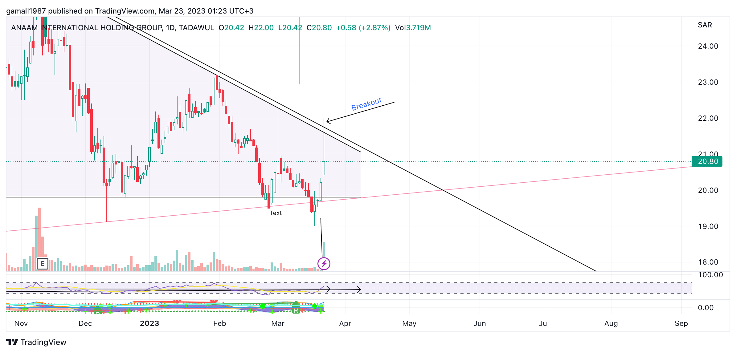 TADAWUL:4061 Chart Image by gamall1987