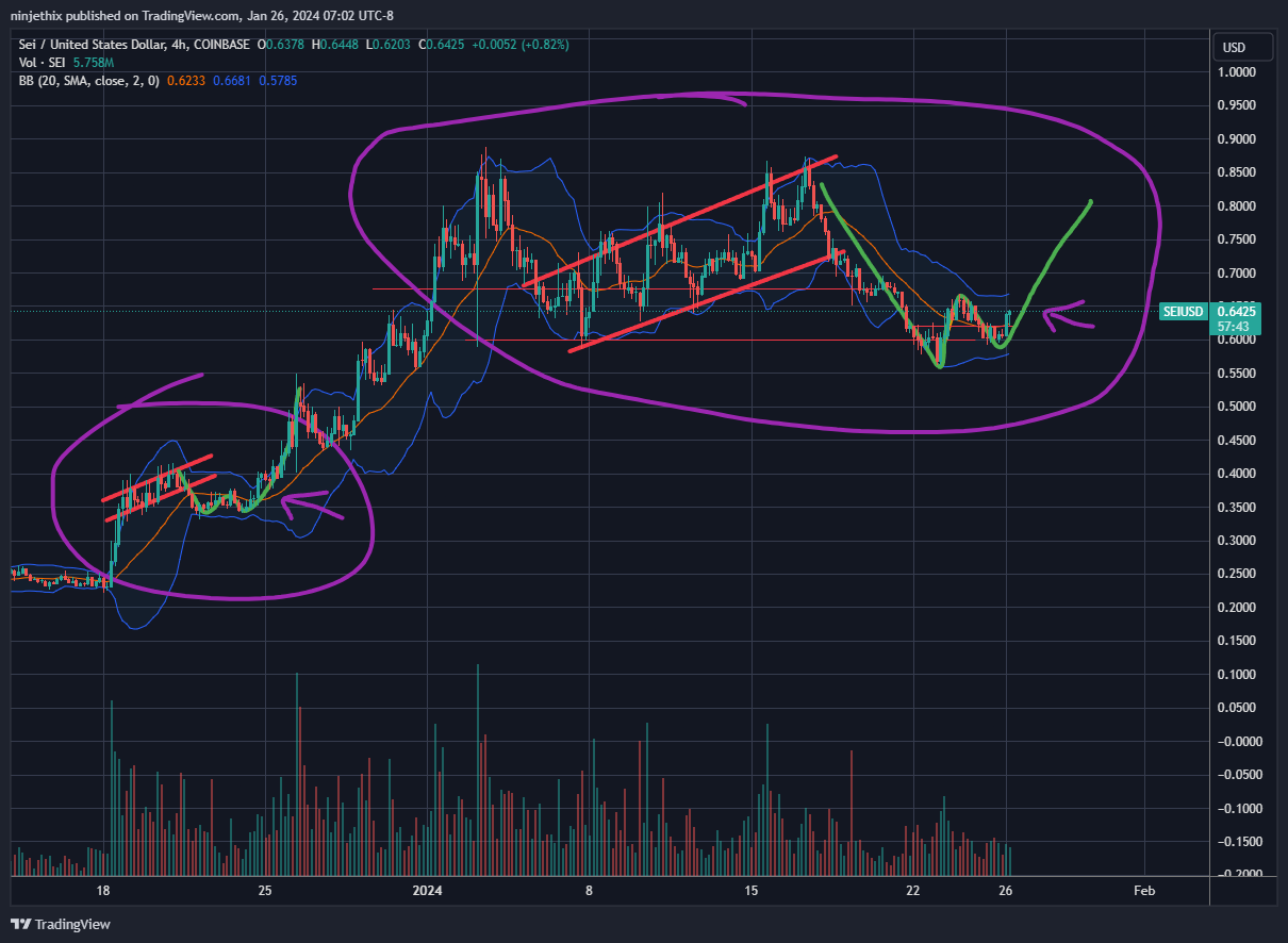 COINBASE:SEIUSD Chart Image by ninjethix