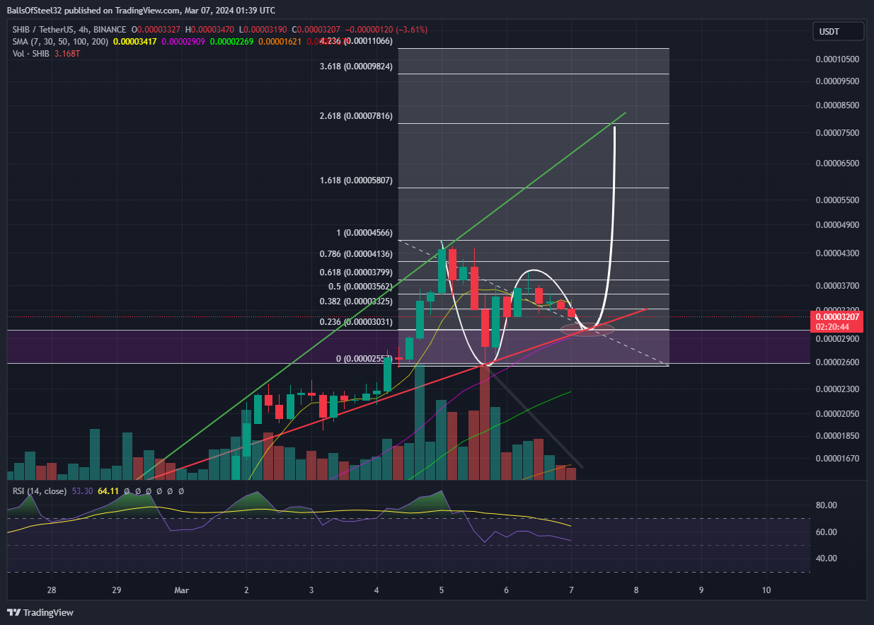 BINANCE:SHIBUSDT Chart Image by BallsOfSteel32