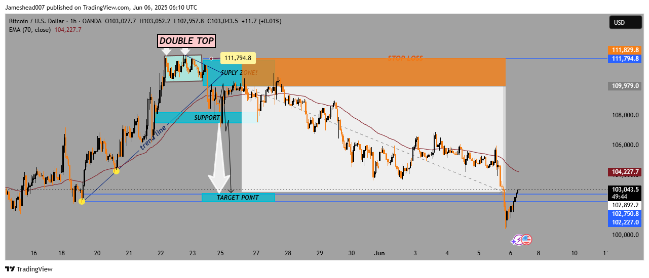 OANDA:BTCUSD Chart Image by Jameshead007