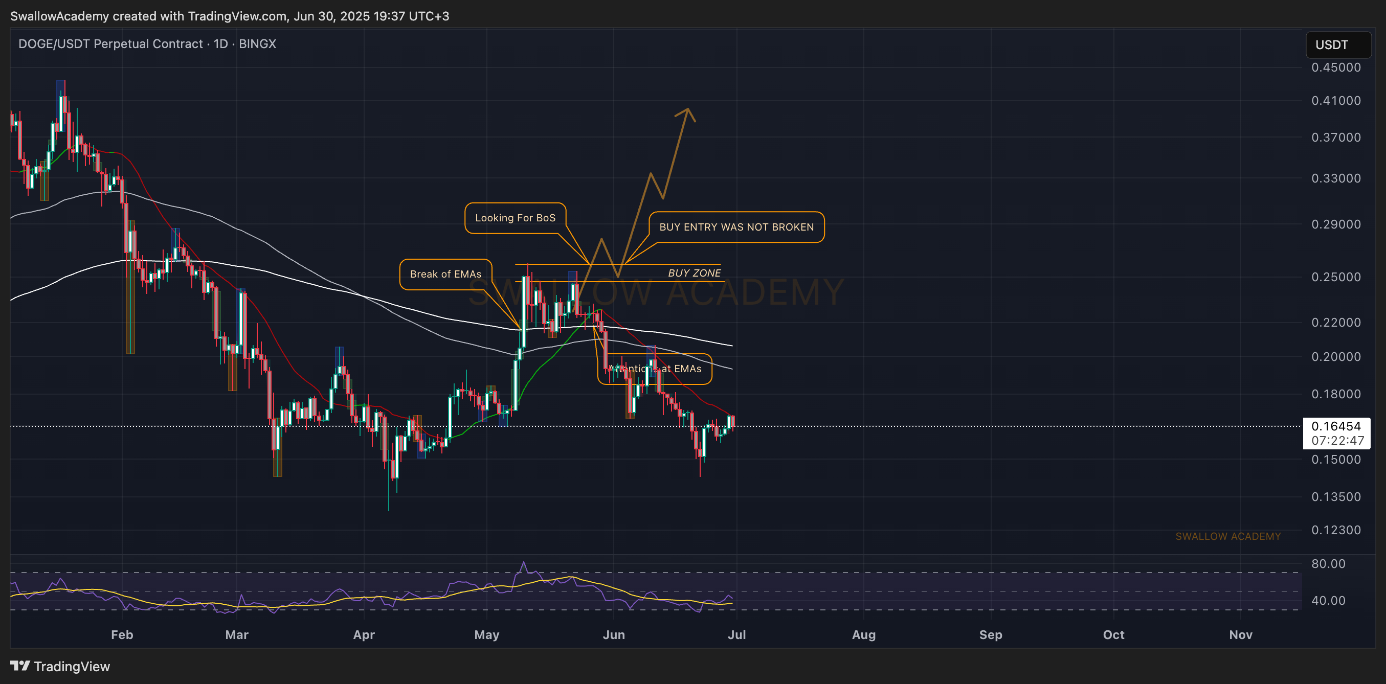 BINGX:DOGEUSDT.P Chart Image by SwallowAcademy