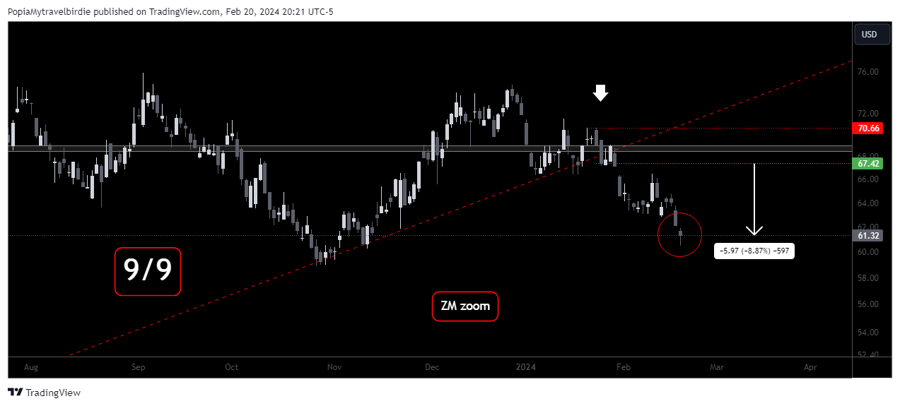 BATS:ZM Chart Image by PopiaMytravelbirdie