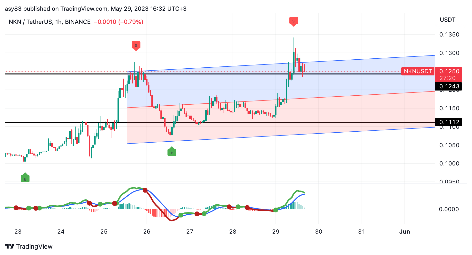 BINANCE:NKNUSDT Chart Image by TraderASY