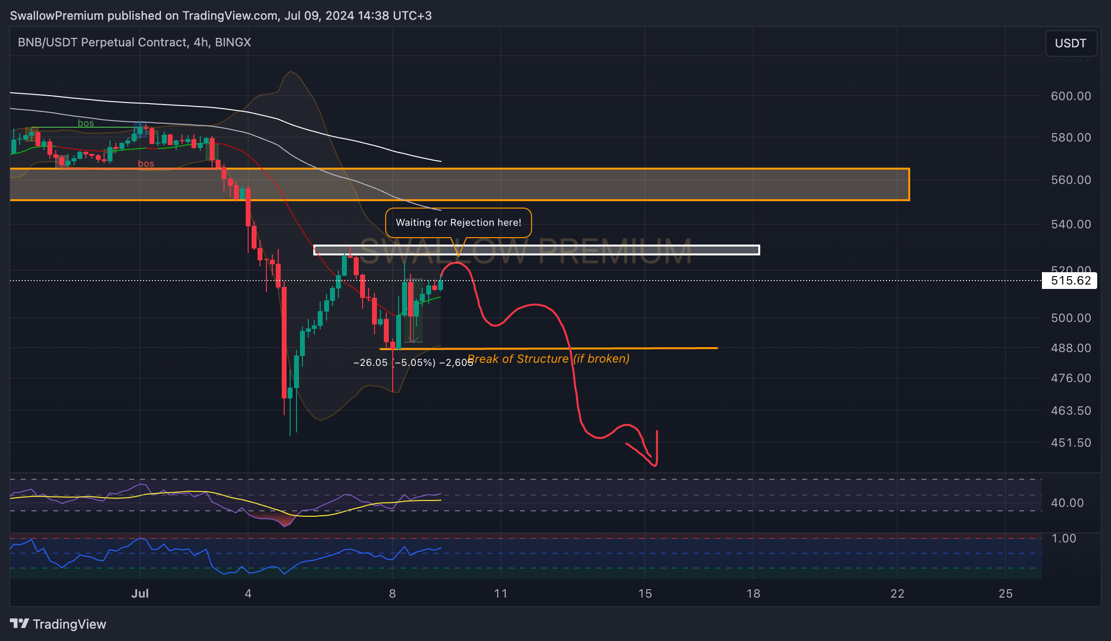 BINGX:BNBUSDT.P Chart Image by SwallowAcademy