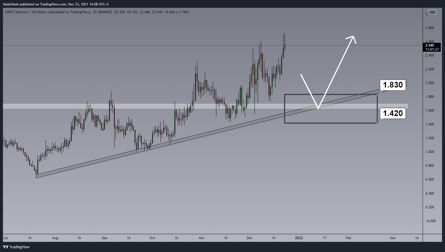BINANCE:MATICUSD Chart Image by VaidoVeek