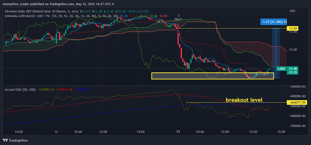 AMEX:LABD Chart Image by moneyflow_trader