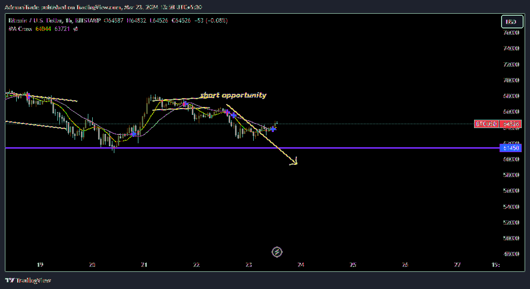 BITSTAMP:BTCUSD Chart Image by AdmamTrade