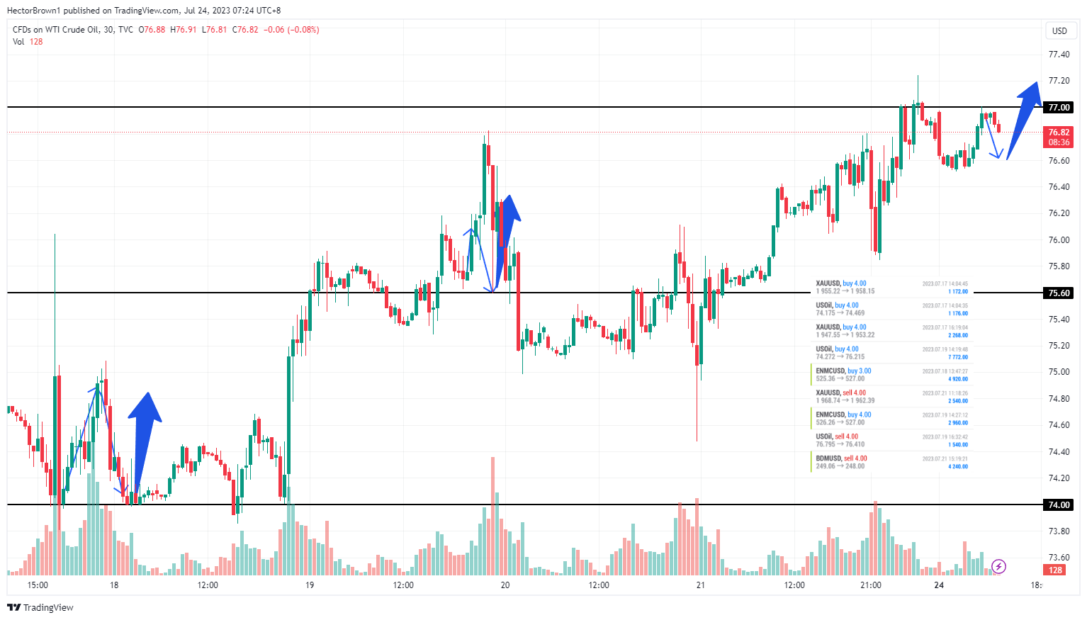 TVC:USOIL Chart Image by HectorBrown1