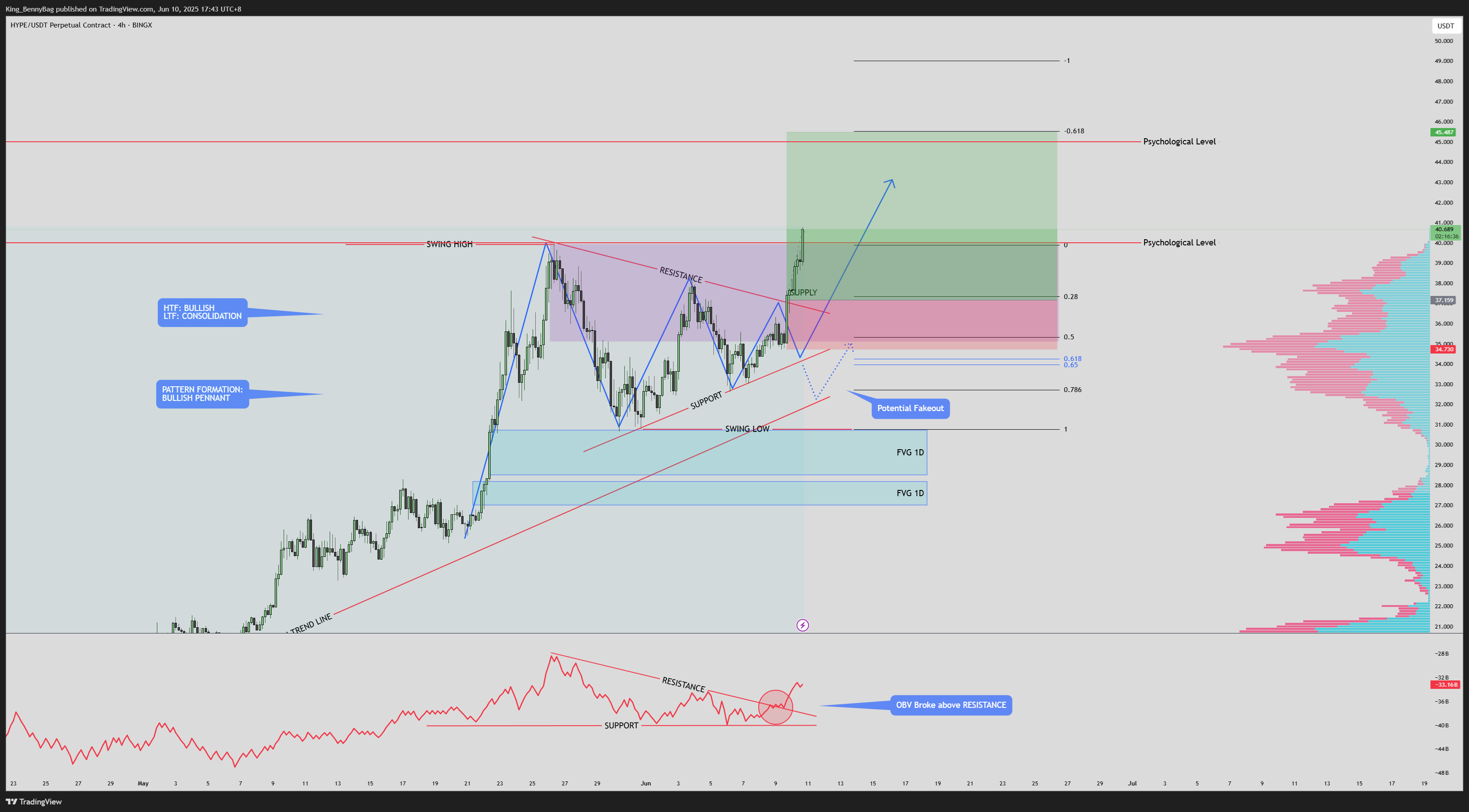 BINGX:HYPEUSDT.P Chart Image by King_BennyBag