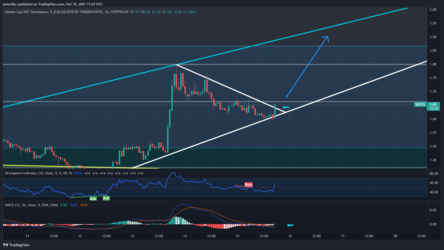 CRYPTOCAP:DOT.D Chart Image by peterbhc