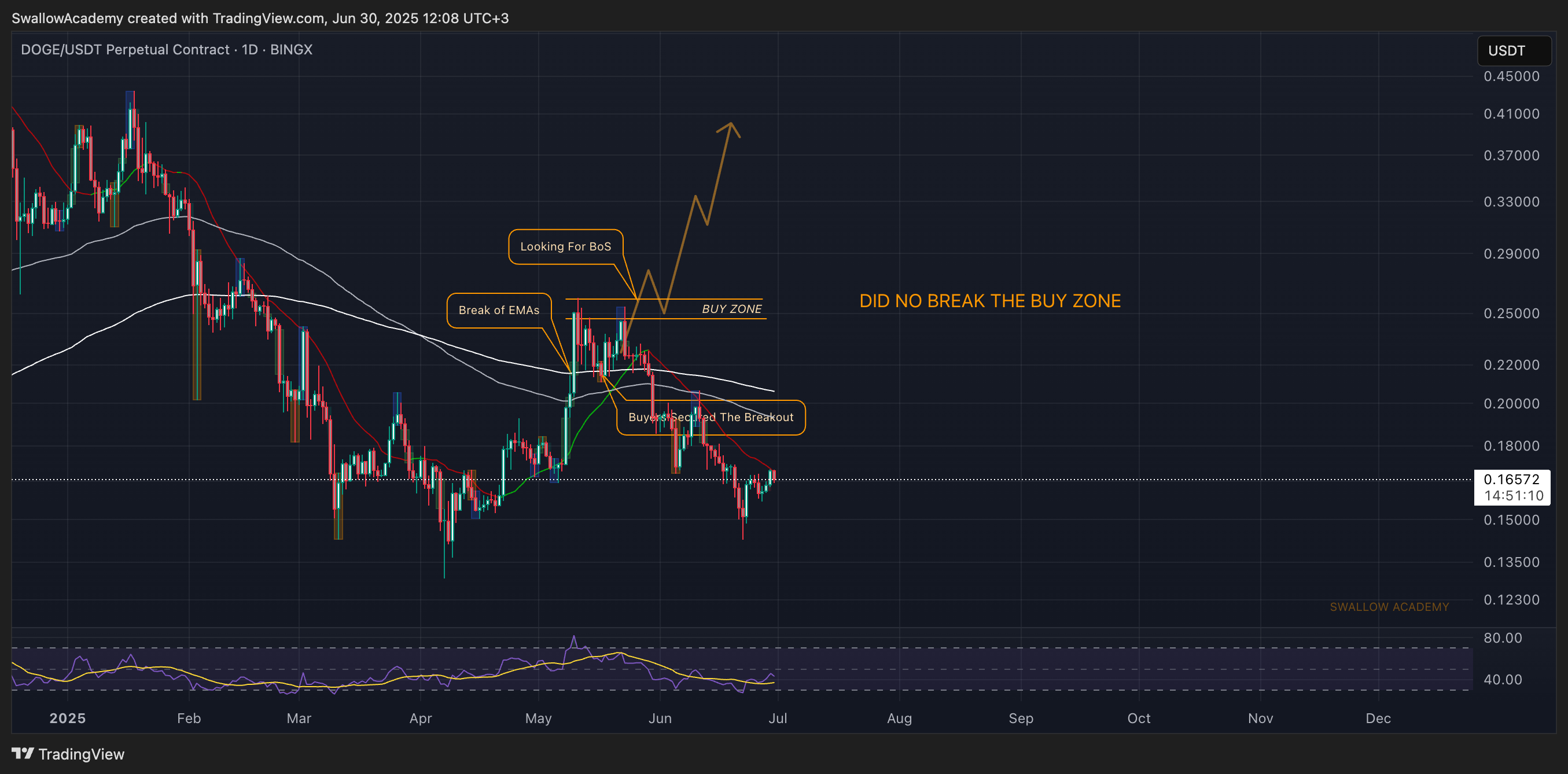 BINGX:DOGEUSDT.P Chart Image by SwallowAcademy
