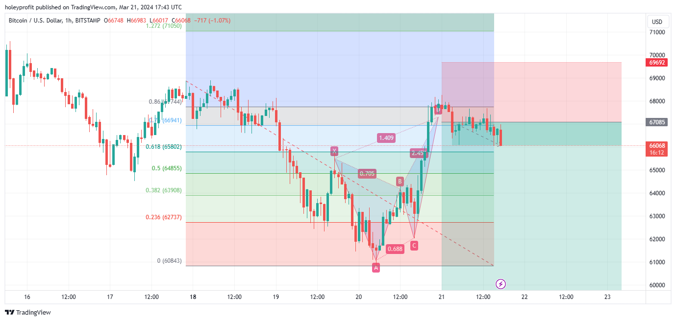 BITSTAMP:BTCUSD Chart Image by holeyprofit