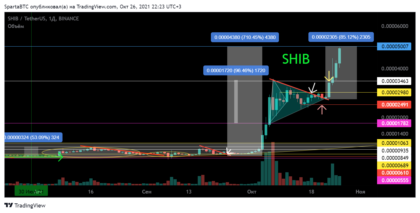 BINANCE:SHIBUSDT Chart Image by SpartaBTC