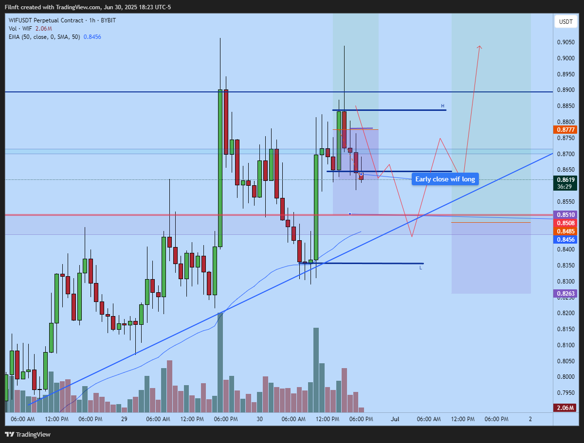 BYBIT:WIFUSDT.P Chart Image by Filnft