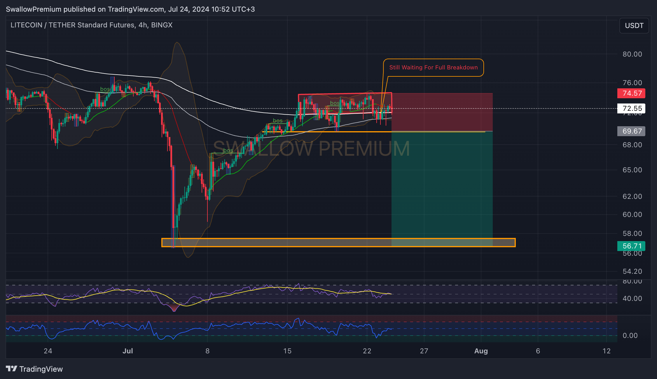 BINGX:LTCUSDT.PS Chart Image by SwallowAcademy