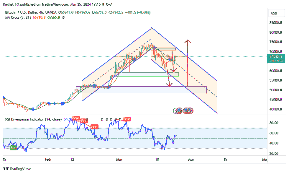 OANDA:BTCUSD Chart Image by Rachel_FX