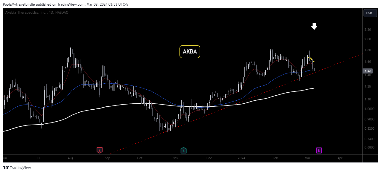 BATS:AKBA Chart Image by PopiaMytravelbirdie