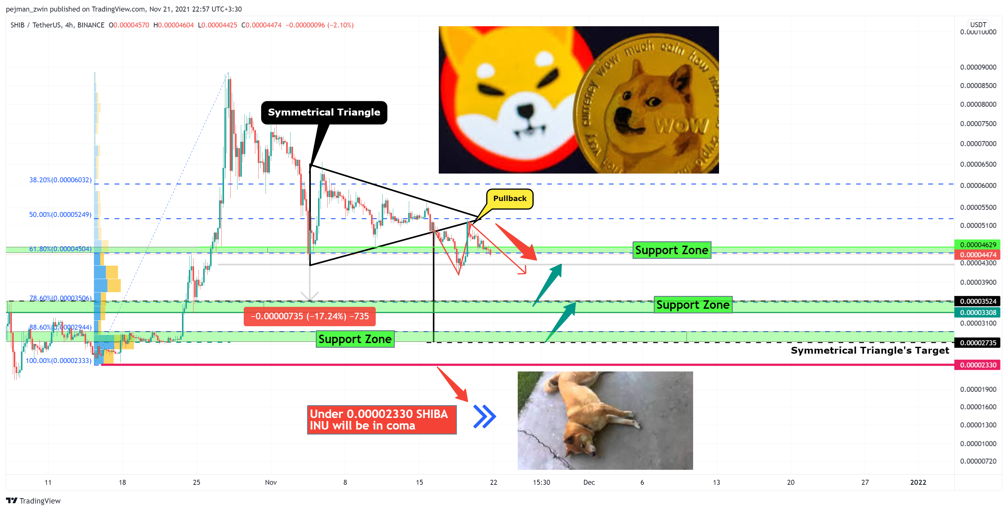 BINANCE:SHIBUSDT Chart Image by pejman_zwin
