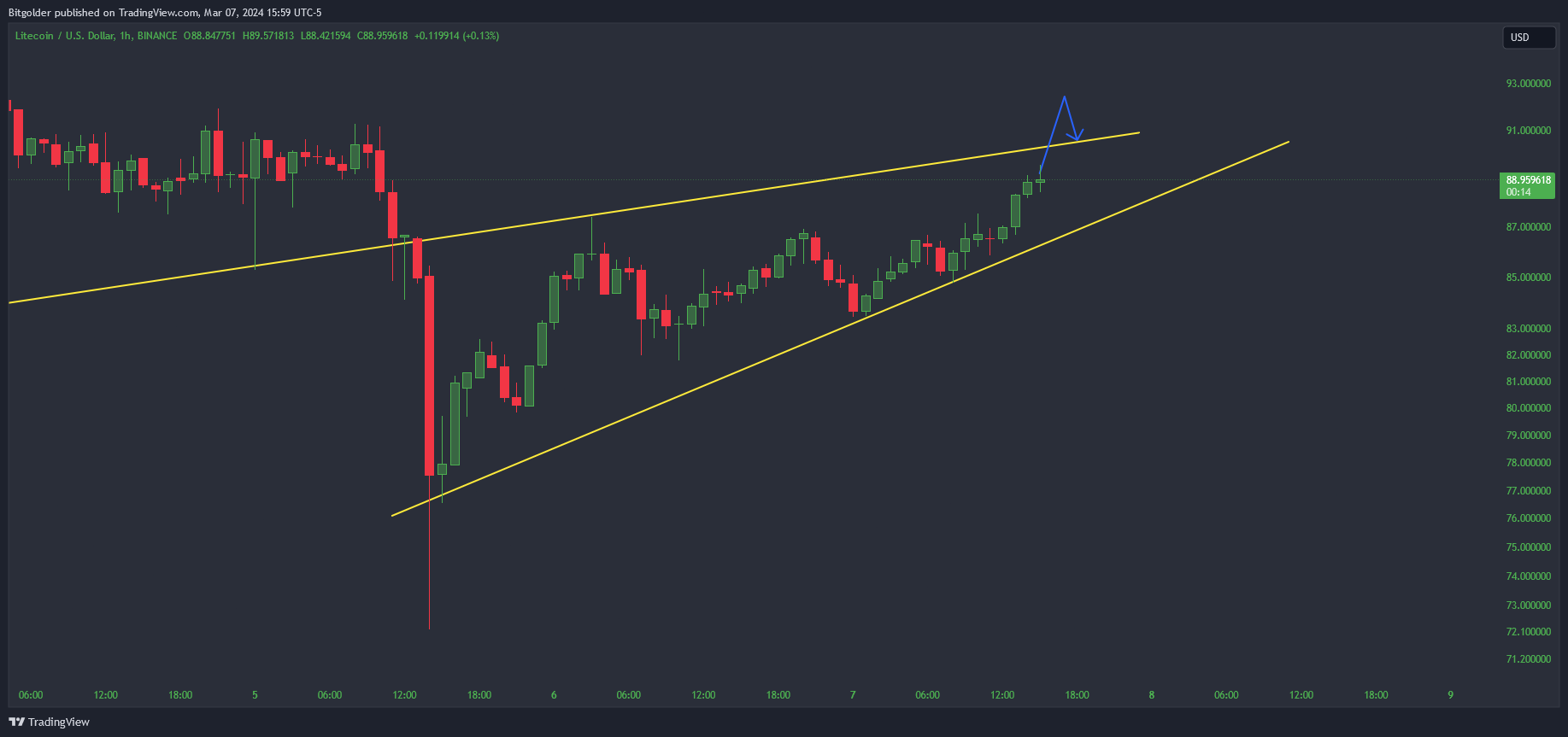 BINANCE:LTCUSD Chart Image by Bitgolder