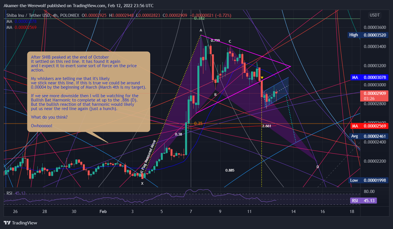 POLONIEX:SHIBUSDT Chart Image by Akamer-the-Werewolf