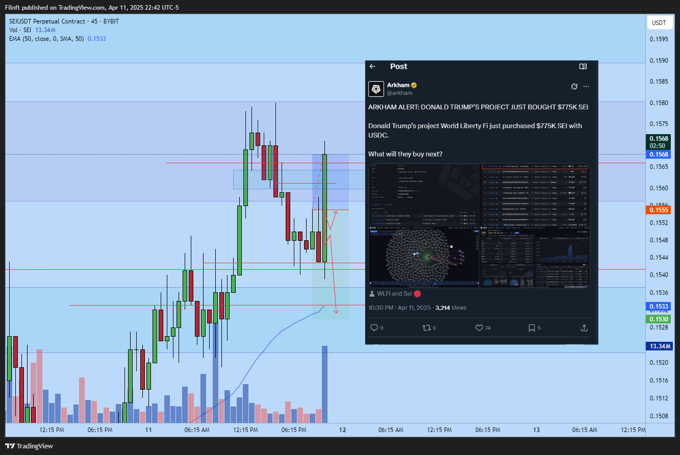 BYBIT:SEIUSDT.P Chart Image by Filnft