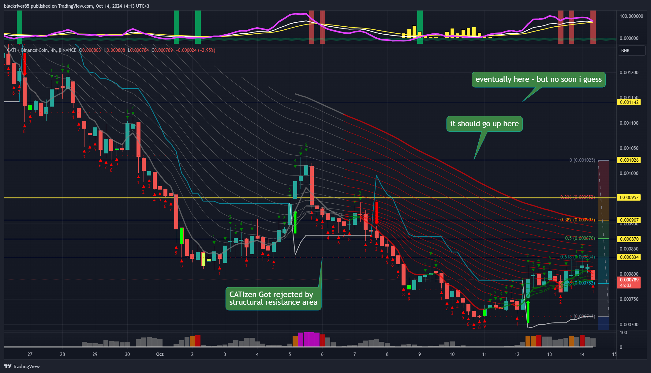 BINANCE:CATIBNB Chart Image by blackriver85