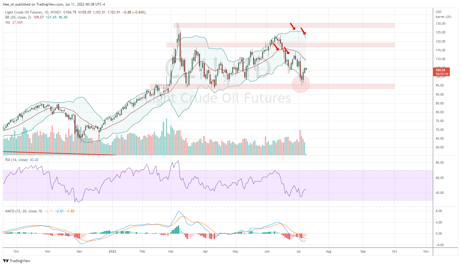NYMEX:CL1! Chart Image by Nee_sh