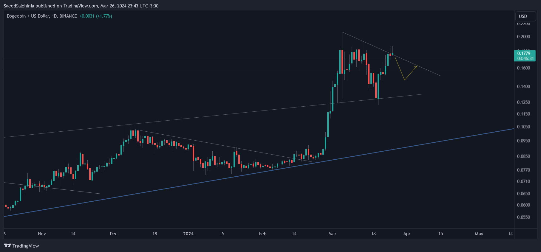 BINANCE:DOGEUSD Chart Image by SaeedSalehinia