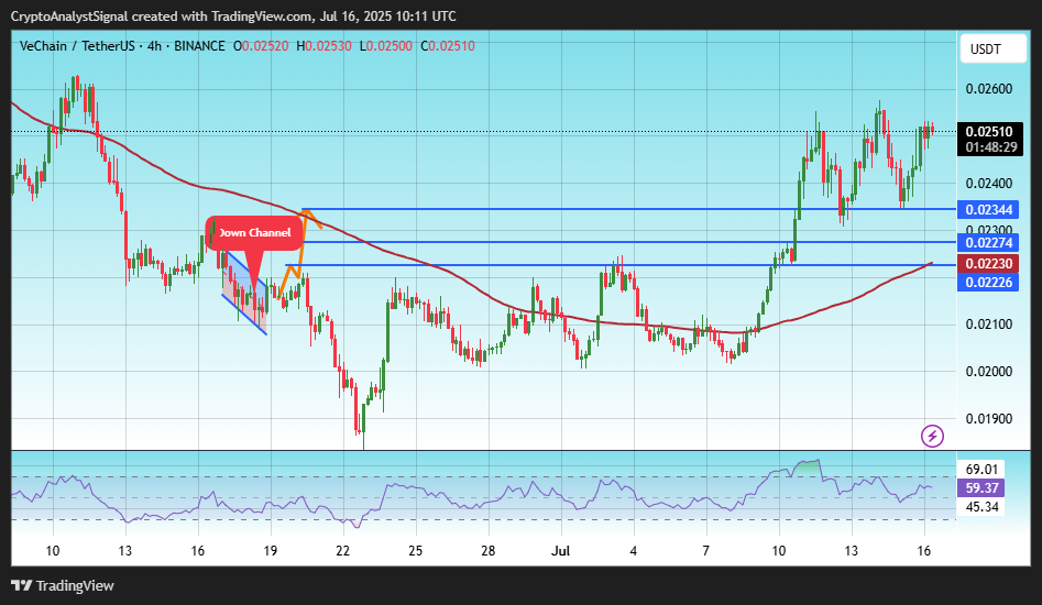 BINANCE:VETUSDT Chart Image by CryptoAnalystSignal