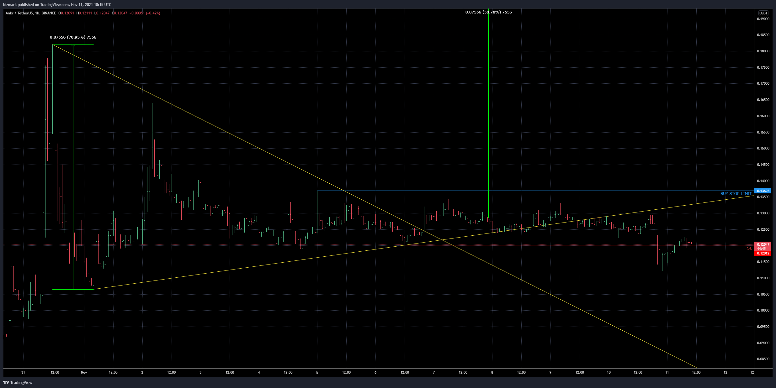 BINANCE:ANKRUSDT Chart Image by bizmark