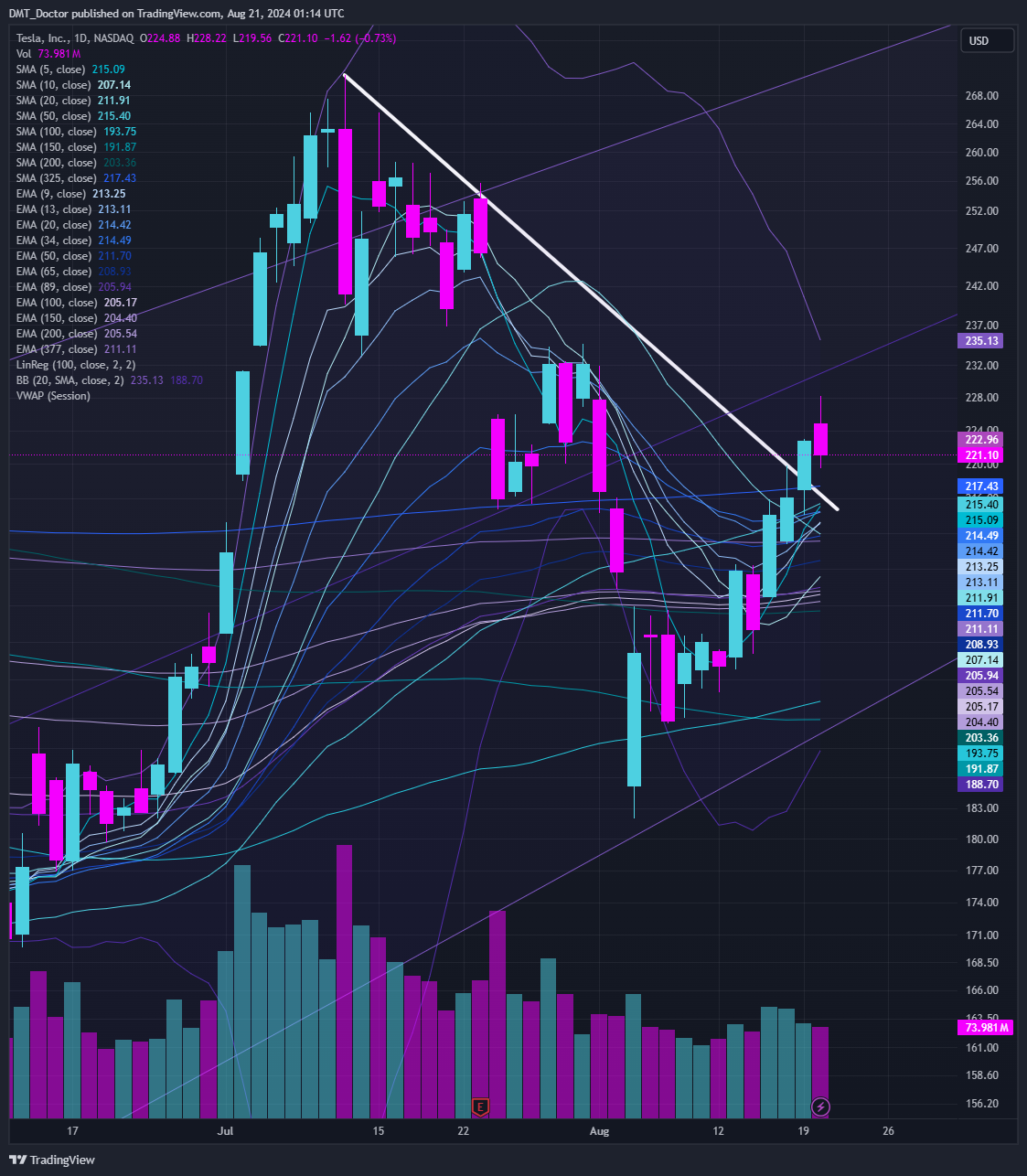 BATS:TSLA Chart Image by DMT_Doctor