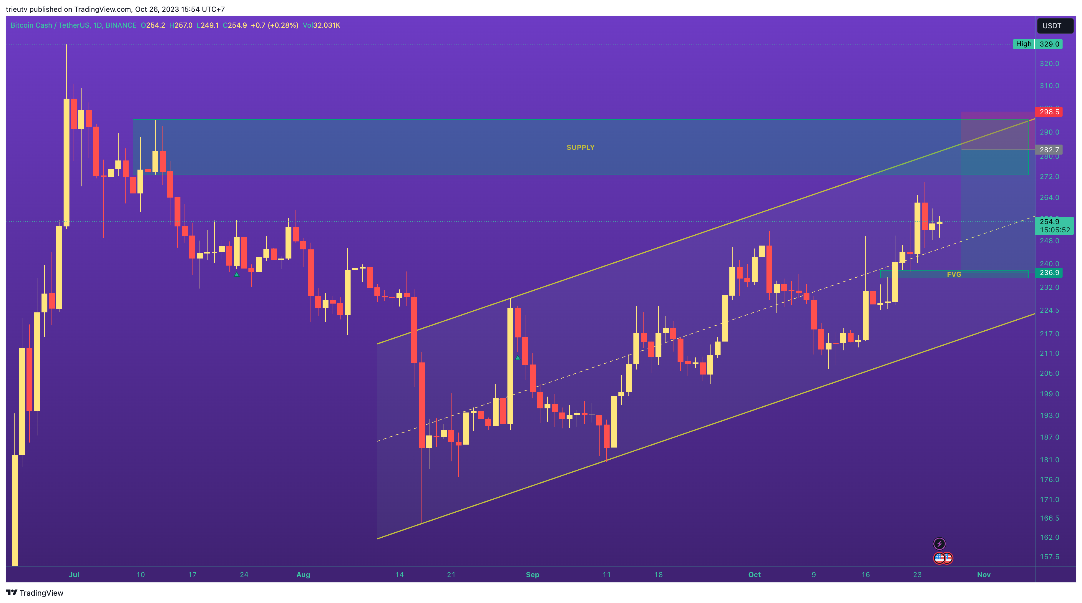 BINANCE:BCHUSDT Chart Image by trieutv