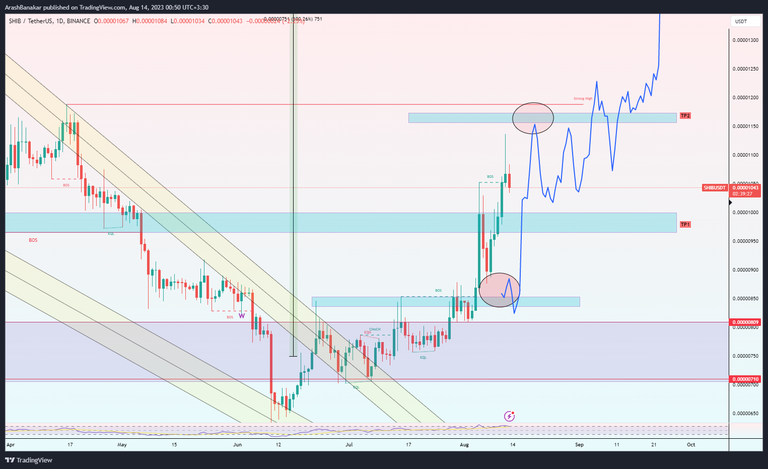 BINANCE:SHIBUSDT Chart Image by ArashBanakar
