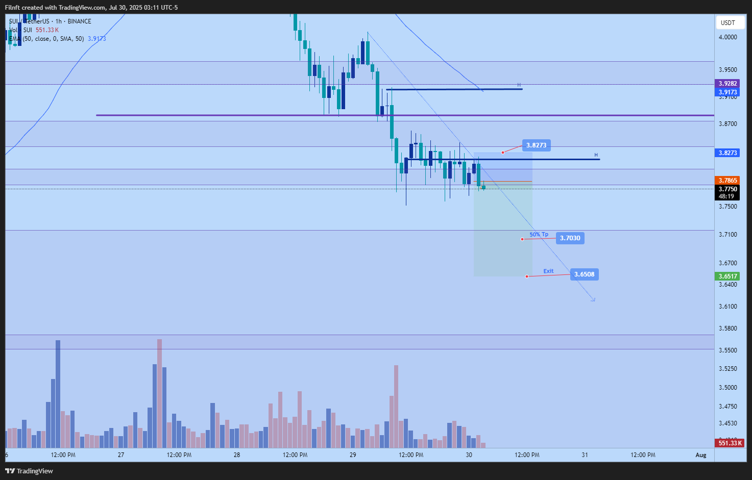 BINANCE:SUIUSDT Chart Image by Filnft