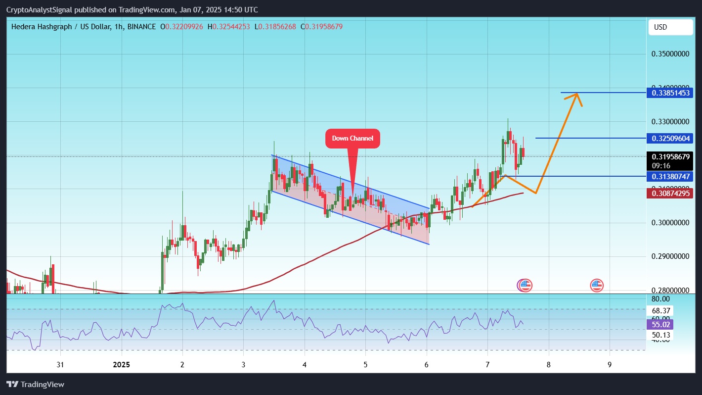 BINANCE:HBARUSD Chart Image by CryptoAnalystSignal