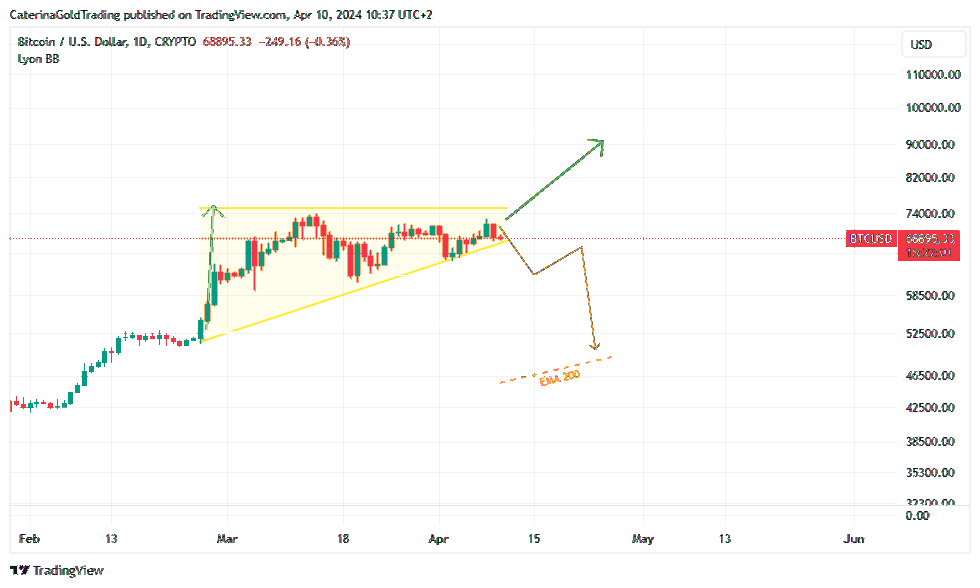 CRYPTO:BTCUSD Chart Image by CaterinaGoldTrading