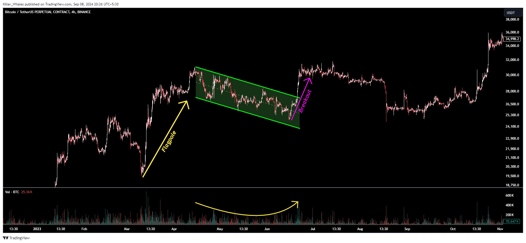 BINANCE:BTCUSDT.P Chart Image by Killer_Whales
