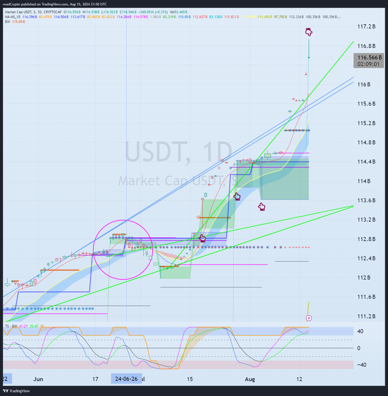 CRYPTOCAP:USDT Chart Image by readCrypto