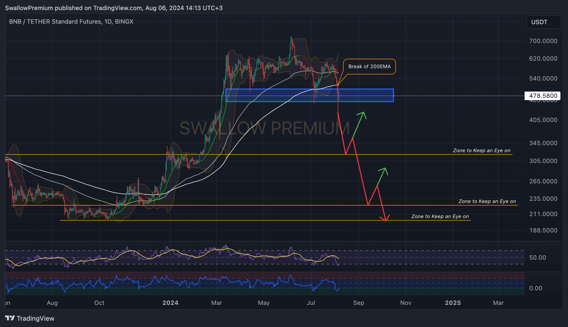 BINGX:BNBUSDT.PS Chart Image by SwallowAcademy