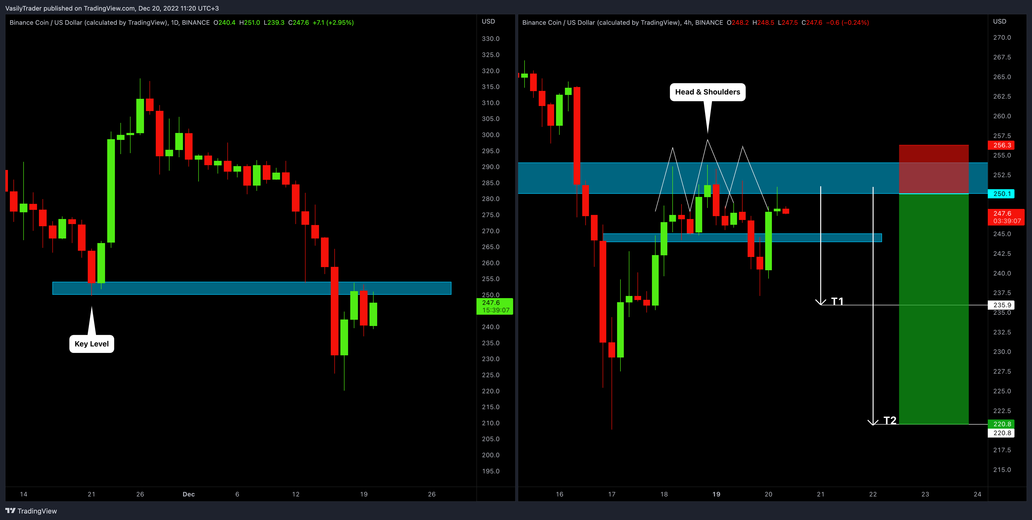 BINANCE:BNBUSD Chart Image by VasilyTrader