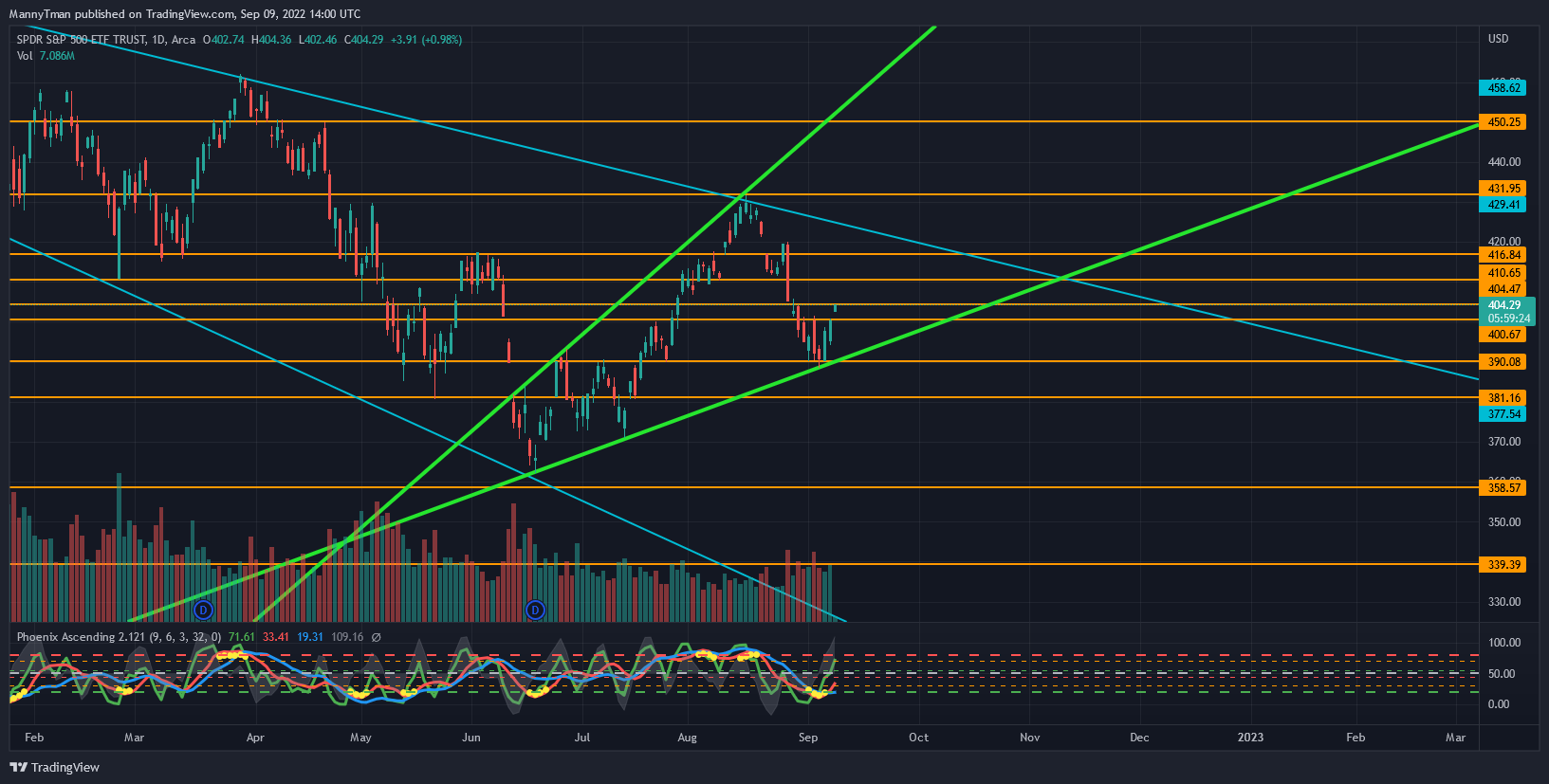AMEX:SPY Chart Image by MannyTman